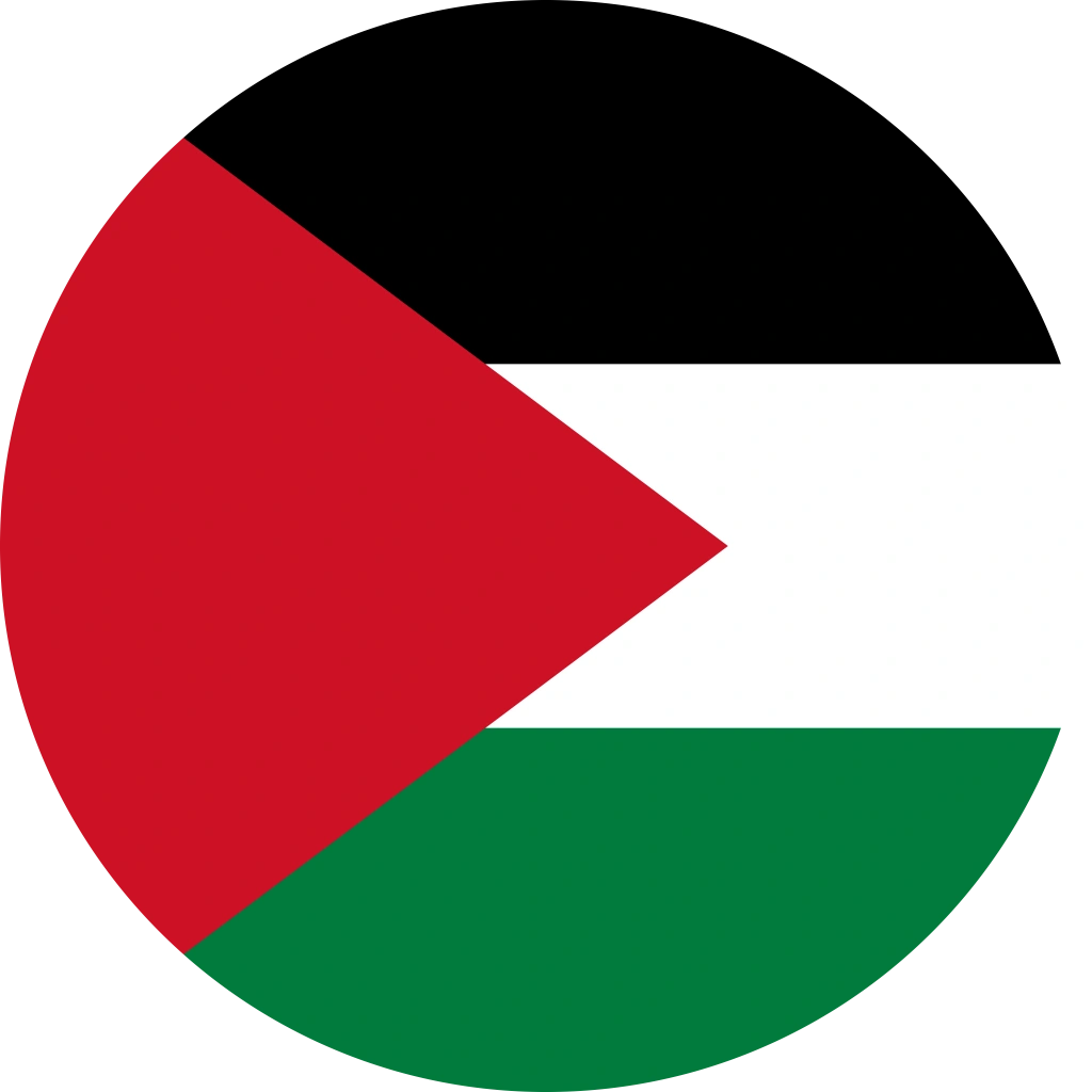 Palestine flag